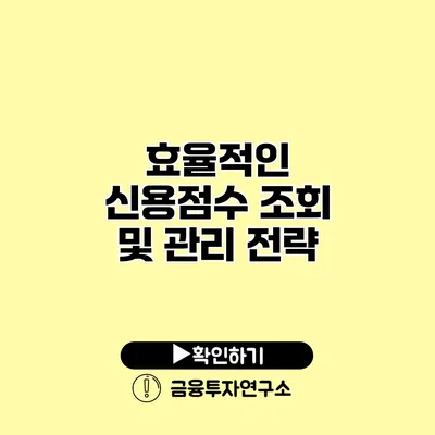 효율적인 신용점수 조회 및 관리 전략