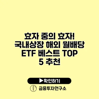 효자 중의 효자! 국내상장 해외 월배당 ETF 베스트 TOP 5 추천