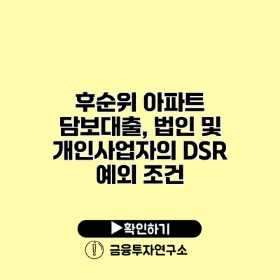 후순위 아파트 담보대출, 법인 및 개인사업자의 DSR 예외 조건