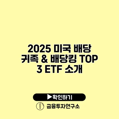 2025 미국 배당 귀족 & 배당킹 TOP 3 ETF 소개