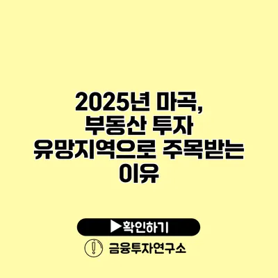 2025년 마곡, 부동산 투자 유망지역으로 주목받는 이유