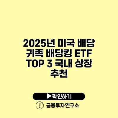 2025년 미국 배당 귀족 배당킹 ETF TOP 3 국내 상장 추천