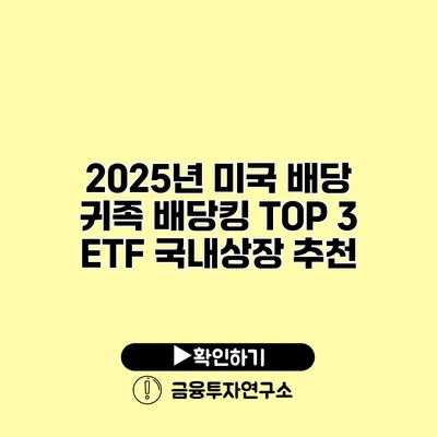 2025년 미국 배당 귀족 배당킹 TOP 3 ETF 국내상장 추천