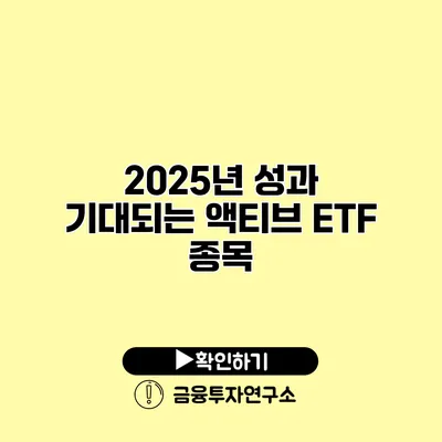 2025년 성과 기대되는 액티브 ETF 종목