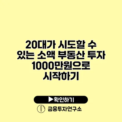 20대가 시도할 수 있는 소액 부동산 투자 1000만원으로 시작하기