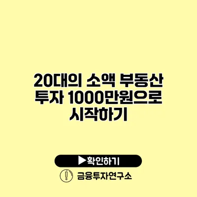 20대의 소액 부동산 투자 1000만원으로 시작하기