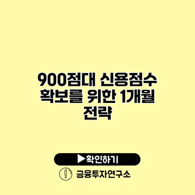 900점대 신용점수 확보를 위한 1개월 전략