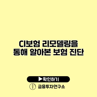 CI보험 리모델링을 통해 알아본 보험 진단