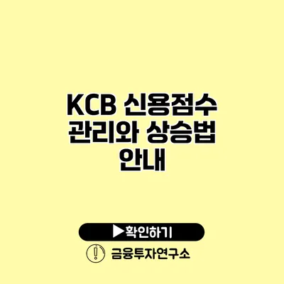 KCB 신용점수 관리와 상승법 안내