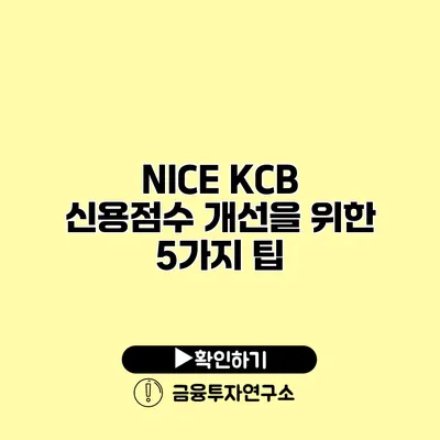 NICE KCB 신용점수 개선을 위한 5가지 팁