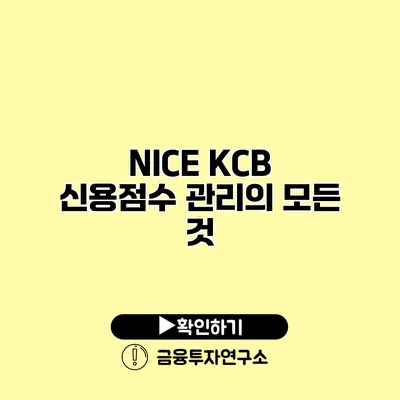 NICE KCB 신용점수 관리의 모든 것