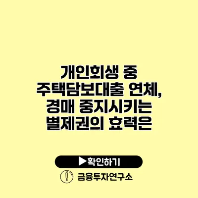 개인회생 중 주택담보대출 연체, 경매 중지시키는 별제권의 효력은?