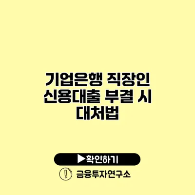 기업은행 직장인 신용대출 부결 시 대처법