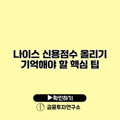 나이스 신용점수 올리기 기억해야 할 핵심 팁