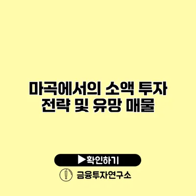 마곡에서의 소액 투자 전략 및 유망 매물