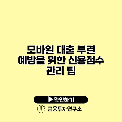 모바일 대출 부결 예방을 위한 신용점수 관리 팁