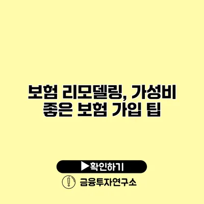 보험 리모델링, 가성비 좋은 보험 가입 팁