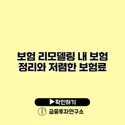 보험 리모델링 내 보험 정리와 저렴한 보험료