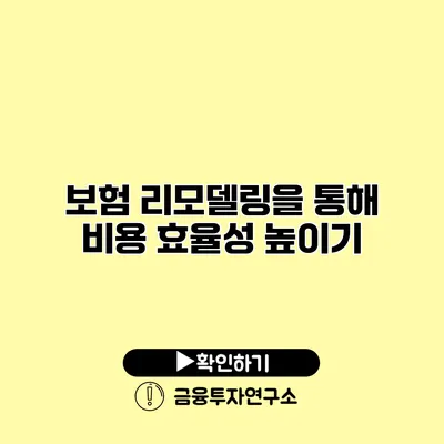 보험 리모델링을 통해 비용 효율성 높이기