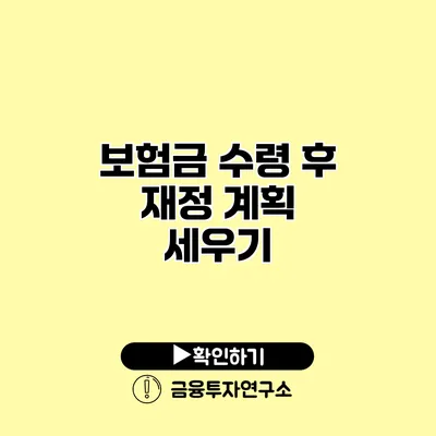 보험금 수령 후 재정 계획 세우기