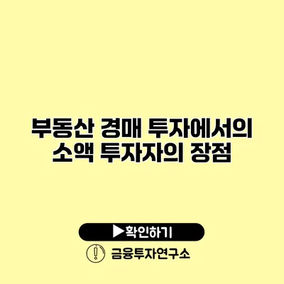 부동산 경매 투자에서의 소액 투자자의 장점