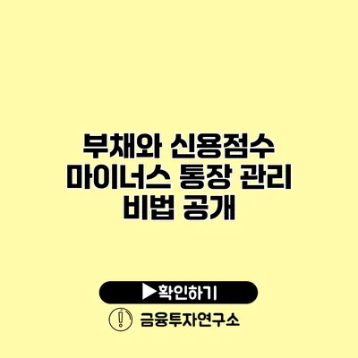 부채와 신용점수 마이너스 통장 관리 비법 공개