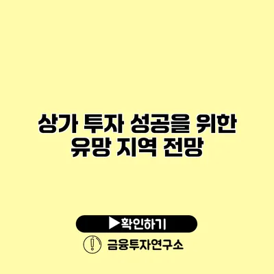 상가 투자 성공을 위한 유망 지역 전망