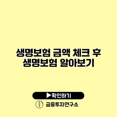 생명보험 금액 체크 후 생명보험 알아보기