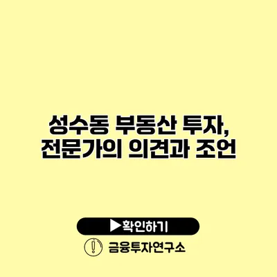 성수동 부동산 투자, 전문가의 의견과 조언