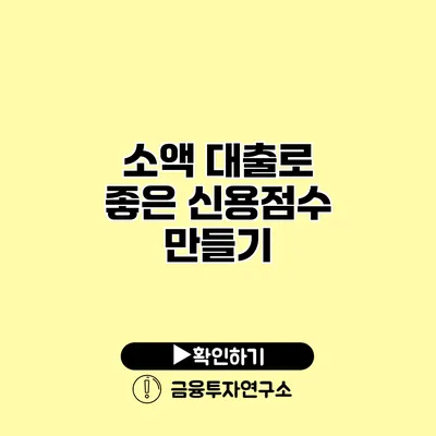 소액 대출로 좋은 신용점수 만들기