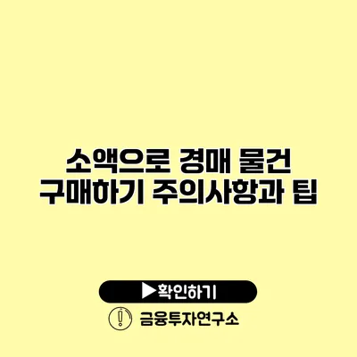 소액으로 경매 물건 구매하기 주의사항과 팁