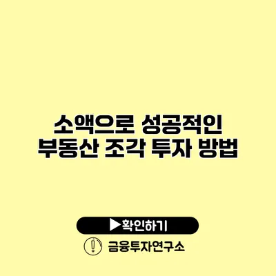 소액으로 성공적인 부동산 조각 투자 방법