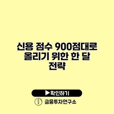 신용 점수 900점대로 올리기 위한 한 달 전략