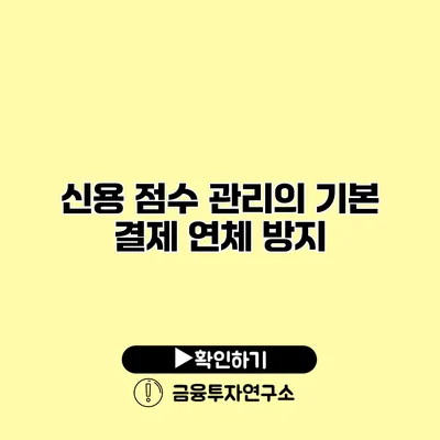 신용 점수 관리의 기본 결제 연체 방지