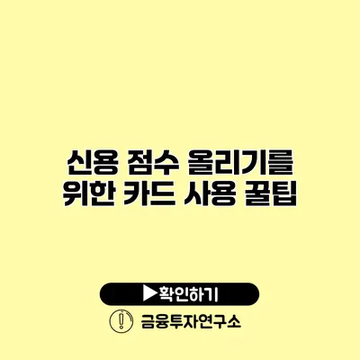 신용 점수 올리기를 위한 카드 사용 꿀팁