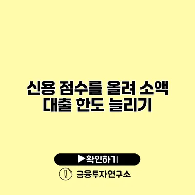 신용 점수를 올려 소액 대출 한도 늘리기