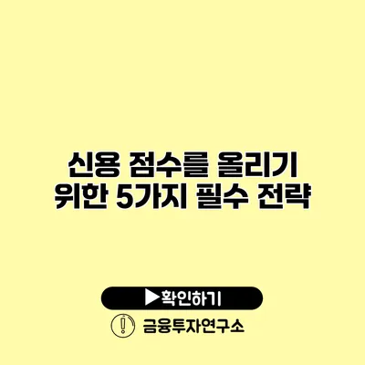 신용 점수를 올리기 위한 5가지 필수 전략