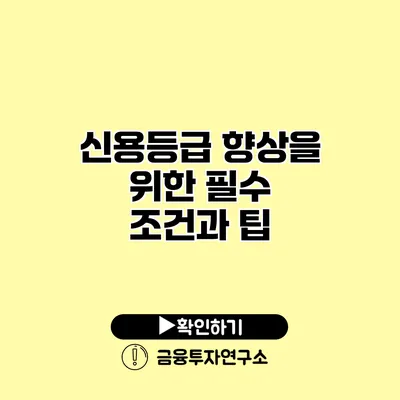 신용등급 향상을 위한 필수 조건과 팁