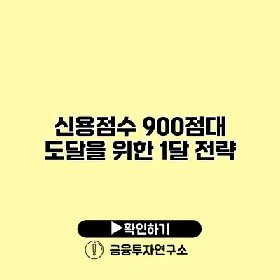 신용점수 900점대 도달을 위한 1달 전략