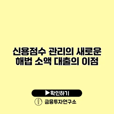 신용점수 관리의 새로운 해법 소액 대출의 이점