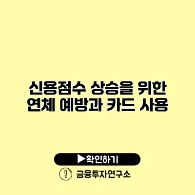 신용점수 상승을 위한 연체 예방과 카드 사용