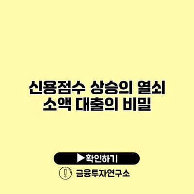 신용점수 상승의 열쇠 소액 대출의 비밀