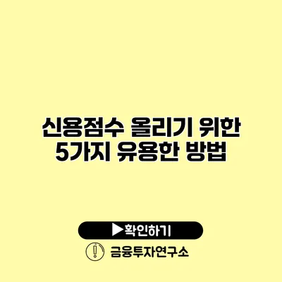 신용점수 올리기 위한 5가지 유용한 방법