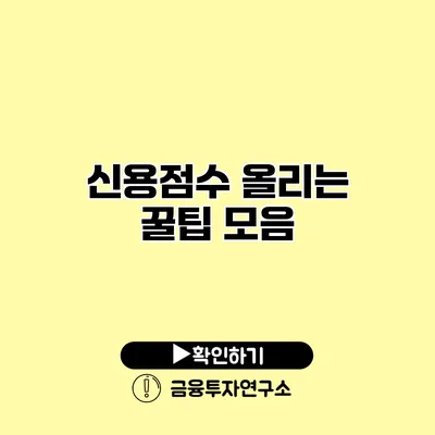 신용점수 올리는 꿀팁 모음