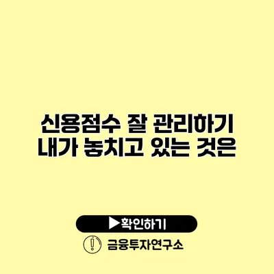 신용점수 잘 관리하기 내가 놓치고 있는 것은?