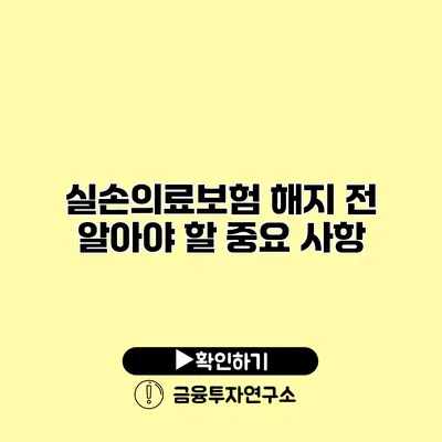 실손의료보험 해지 전 알아야 할 중요 사항