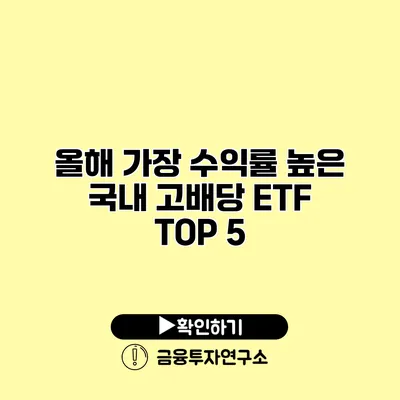 올해 가장 수익률 높은 국내 고배당 ETF TOP 5