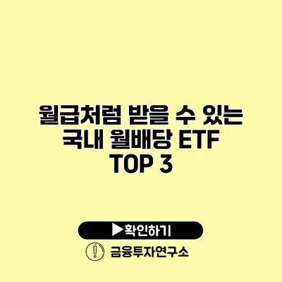 월급처럼 받을 수 있는 국내 월배당 ETF TOP 3