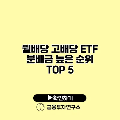 월배당 고배당 ETF 분배금 높은 순위 TOP 5