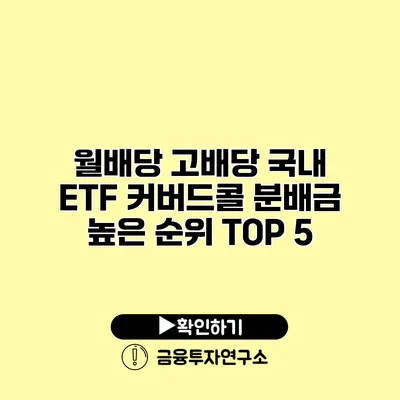 월배당 고배당 국내 ETF 커버드콜 분배금 높은 순위 TOP 5